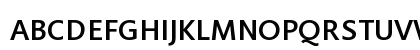 Flex Medium Uppercase Preview