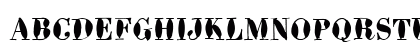 BodoniBrush ITC Bold Preview