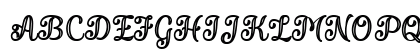 Validity Script Bold PERSONAL U Regular Preview