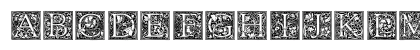 Medieval Initial One Regular Preview