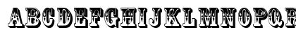 Coffee Tin MF Initials Uppercase Preview