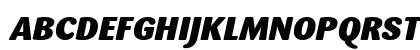 Sari Black Italic Uppercase Preview