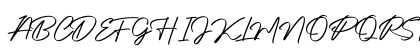 Authentic Signature Uppercase Preview