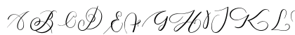 MONOGRAM Z Regular Uppercase Preview