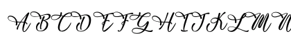 Zebra Advert - Personal Use Regular Uppercase Preview