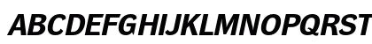 DynaGrotesk RE Bold Italic Uppercase Preview