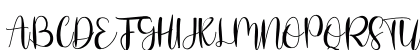 Stefany Signature Regular Uppercase Preview