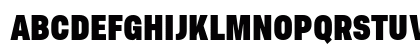 Asket Condensed ExtraBold Preview