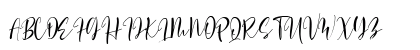 Generating Script Regular Preview