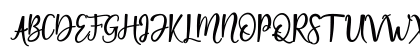 Villaque Script Regular Uppercase Preview