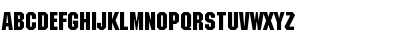 ACaslon AltRegular Italic Preview