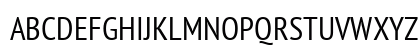PT Sans Narrow Regular Uppercase Preview