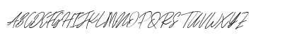 Raghen Script Regular Uppercase Preview