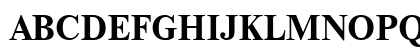 Newton Bold Uppercase Preview