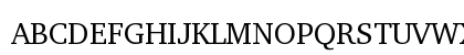 Taamey David CLM Medium Preview