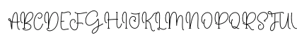 Panda Regular Uppercase Preview