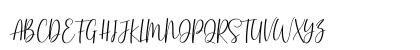 Basston Script Regular Uppercase Preview