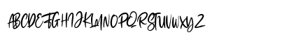 The Fashionist Personal Use Regular Preview