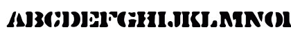 Cargo Print Regular Preview