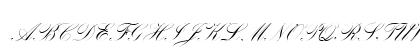 Palace Script MT Std Regular Uppercase Preview