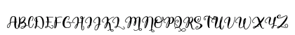 Quaked Regular Preview