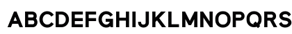 MadeynSans Bold Uppercase Preview
