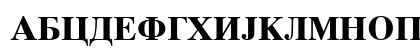 Macedonian Tms Bold Uppercase Preview