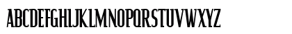Pacific Serif Bold Uppercase Preview