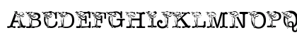 pf_calla Regular Uppercase Preview