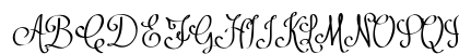 Contribute_FREE-version Regular Preview