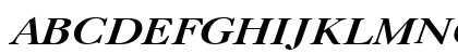 CaslonC Bold Italic Uppercase Preview