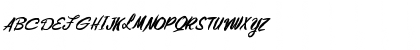 FZ HAND 10 MANGLED ITALIC Normal Font