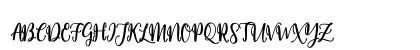 Willona Script Regular Uppercase Preview