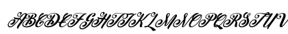 Peenguin Italic Regular Uppercase Preview