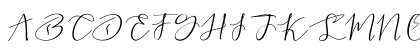 love beard Regular Uppercase Preview