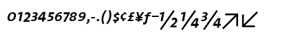 TheSans Regular Italic Preview