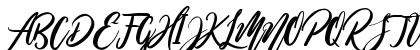 Wild Ones Regular Uppercase Preview
