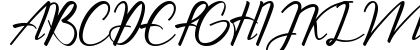 The Chamid Personal Use Only Regular Uppercase Preview