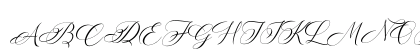 Dellima Demo Uppercase Preview