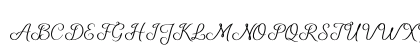 Shelly Script Regular Uppercase Preview