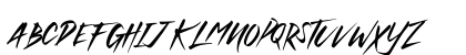 Witness History Regular Uppercase Preview