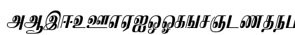 IdsTamil_TG_6_ Bold_Italic Uppercase Preview