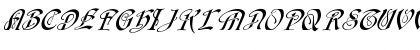 FZ SCRIPT 14 ITALIC Normal Font