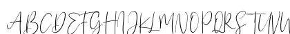 Sanflorida Regular Uppercase Preview