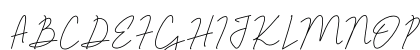 Jelitta Signature Signature-Regular Uppercase Preview