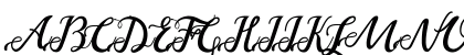 noelan script Preview