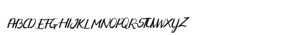 SHAIMAA DEMO Script Regular Uppercase Preview