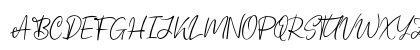 Schagen Regular Uppercase Preview