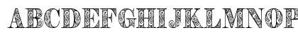 Zengo Demo Uppercase Preview