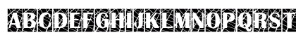 a_AlbionicTitulCmWb Regular Preview